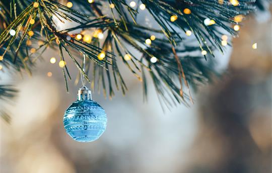 light blue ornament