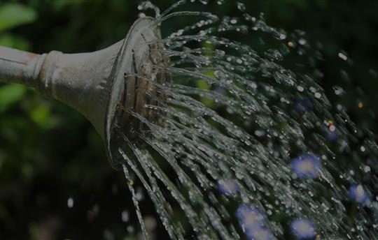 close up of gray metal watering can pouring out water