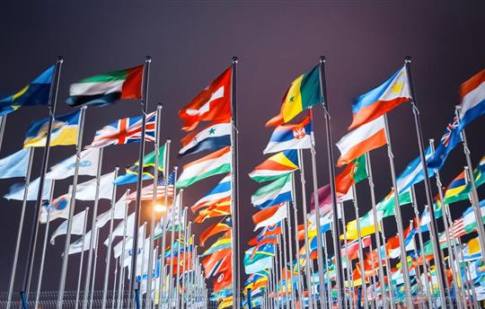 Rows of flagpoles flying world national flags